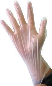 Popular Disposable PVC Vinyl Gloves