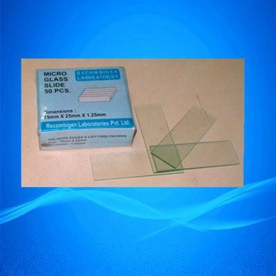 Prepared Microcope Slides/Microscope Slides/Prepared Slides