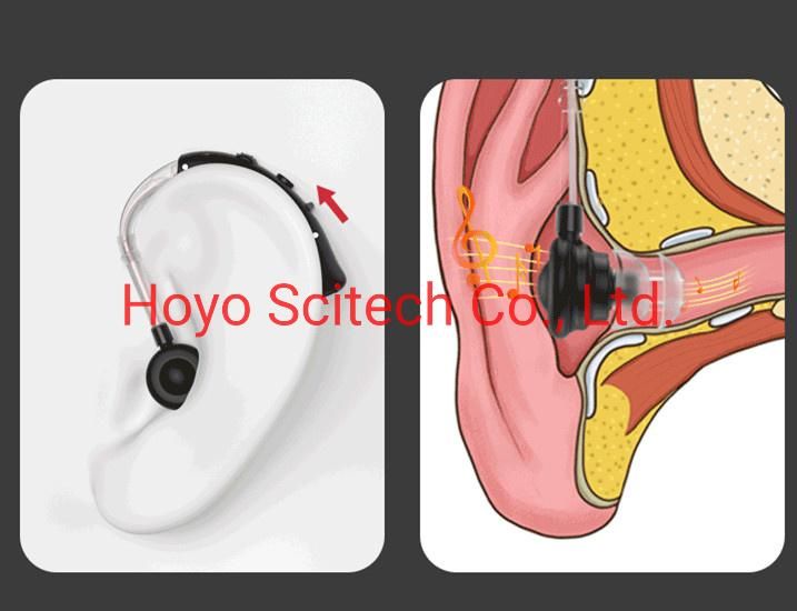 Digital Inner Ear Hearing Aid Ear Digital Programmable Hearing Aid Mini Digital Hearing Aid
