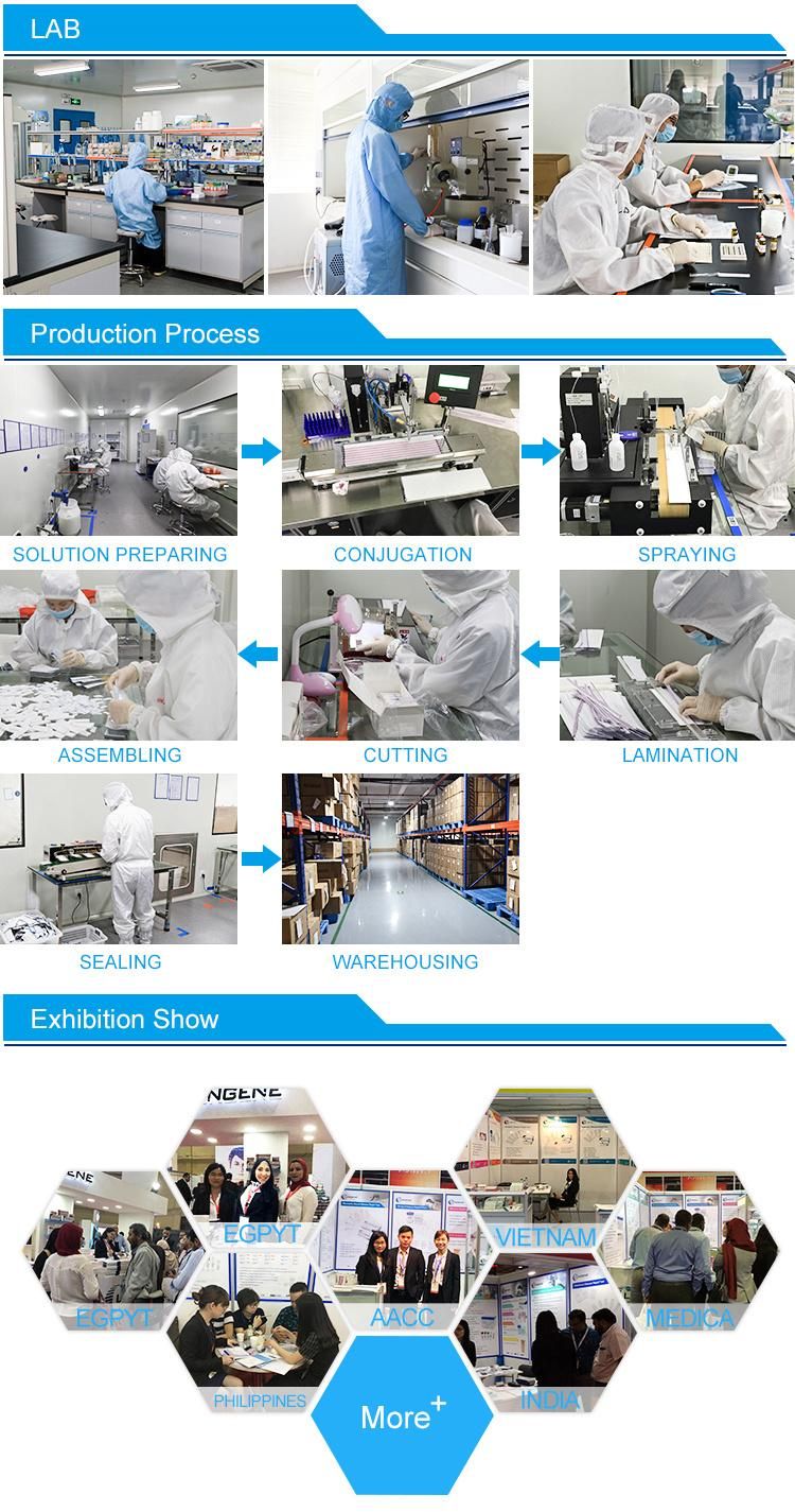 FM Test Kit Individual Igg Igm Rapid Test Antibody Saliva Latex Antigen Rapid Test Kits CE