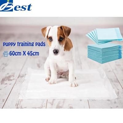 Puppies Peeing Training-Mat Pet Pads 22-Inch by 23-Inch