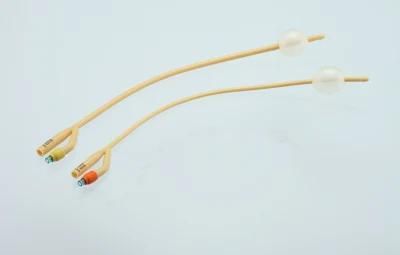 Disposables 2-Way Latex Foley Catheter with CE Supplier