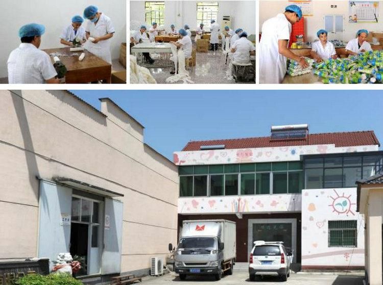 HD511 Medical High Quality Pop Plaster of Paris Bandage Factory