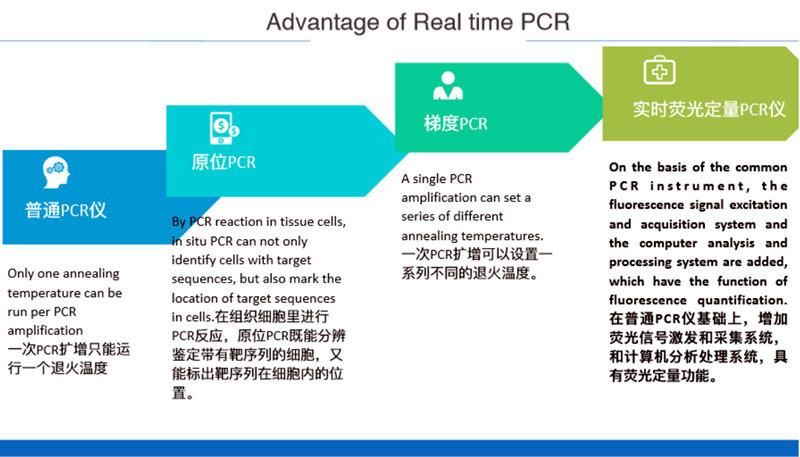 PCR Real Time Machine Real-Time PCR System