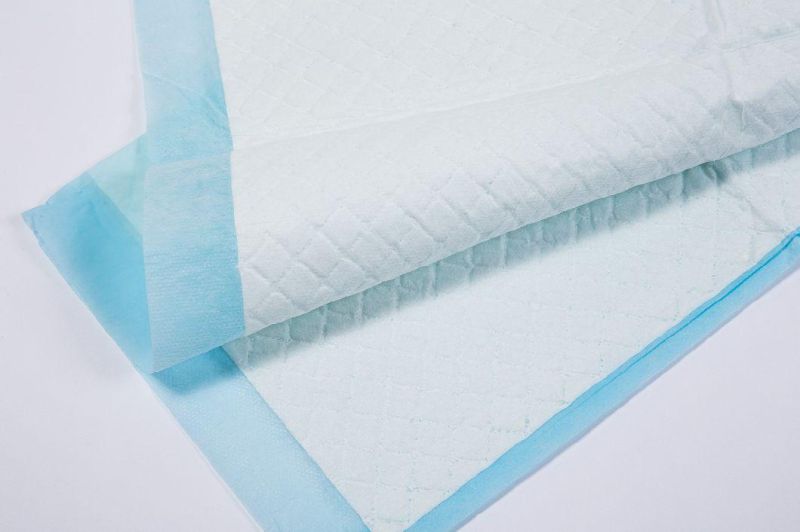 Waterproof Bed Pads for Elderly Disposable Underpads for Personal Care or Hospital Use FDA CE Approve Underpad Factory Manufacturer OEM Absorbent Free Samples