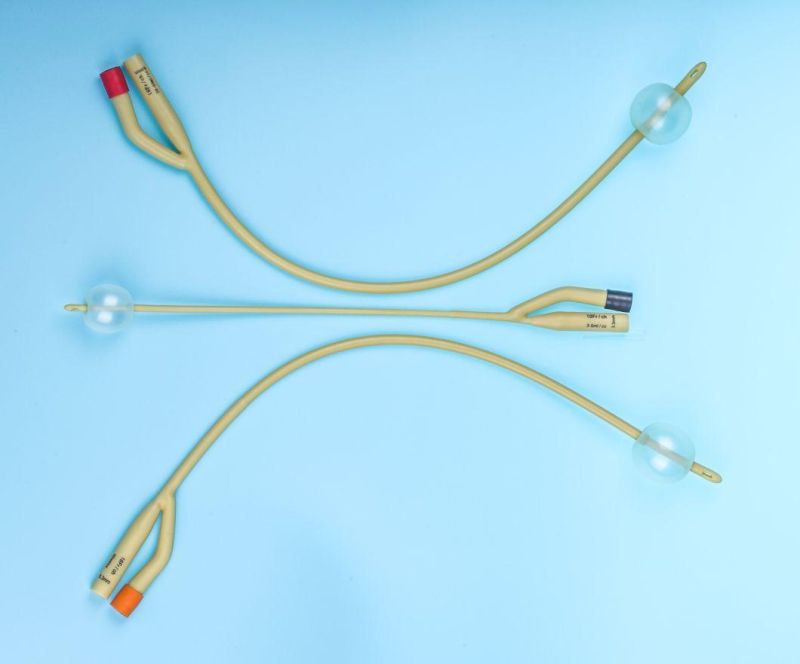 Medical Disposable Latex PVC Urethral Catheter Foley Catheter Urethral Probe with CE Certificate