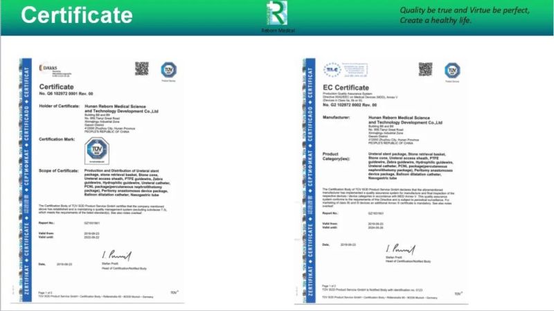 Hydrophilic Guidewire with Ec Certificate
