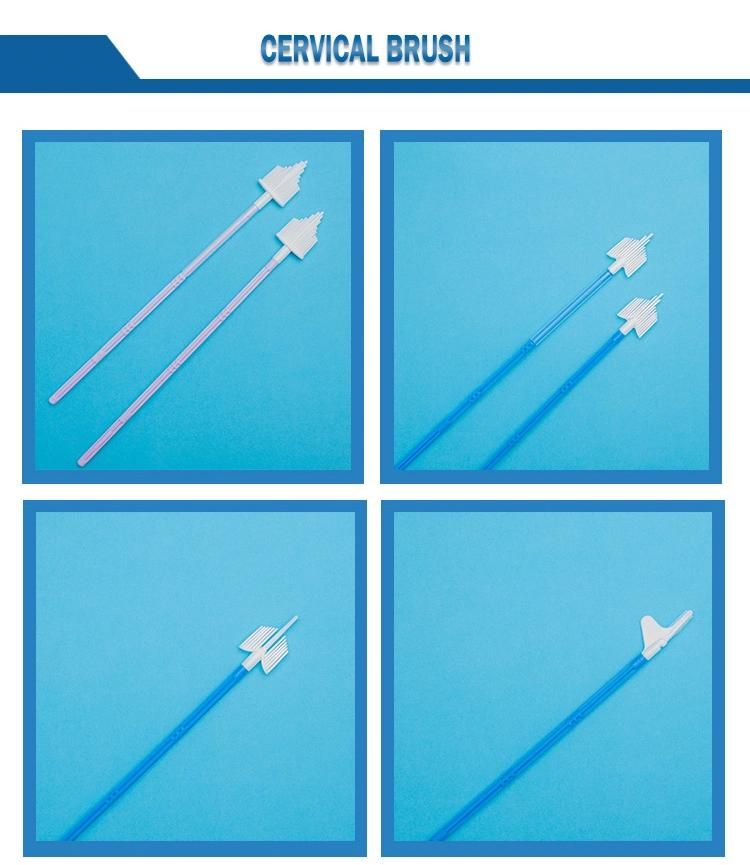 Medical Supply Surgical Sterile Disposable Sterile Cervical / Cyto Brush High Quality