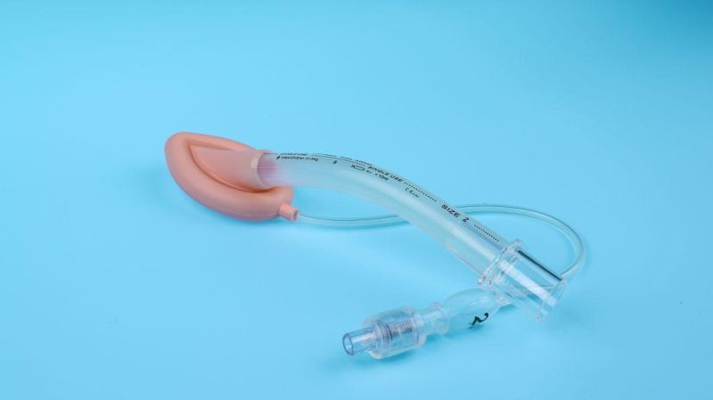 CE/ISO13485 Certified Disposable Silicone Laryngeal Mask for Aiaway Management Witt Factory Price