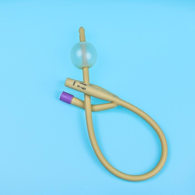CE ISO Medical Foley Balloon Catheter 3 Way 2 Way