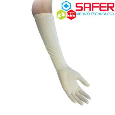 Medical Disposable Latex Gynaecological Glove with Powder Free 470mm