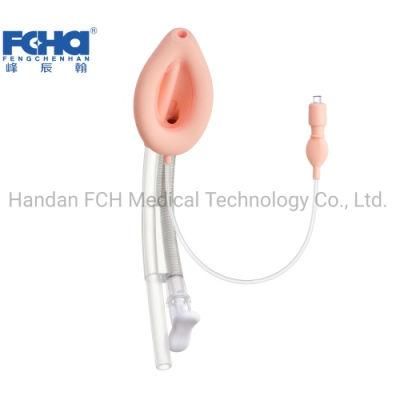 Double Lumen Laryngeal Mask Airway