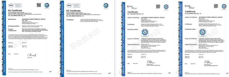 Ethylene Oxide Sterilization Logo Printing Spirometer with Mouthpiece Pft Filter