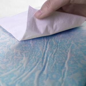 Factory Wholesale High Absorption Under Pad Medical Disposable Waterproof Pets Under Pads on Sale