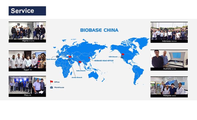 Biobase Efficient Inactivated Activated Disposable Sampling Tube Kit