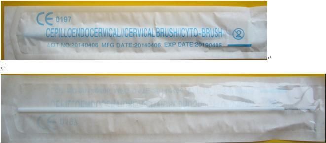 Manufacturer Gyno Brush Cyto Brush Gynecological Cervical Brush Sterile Disposable Hospital or Clinic Use