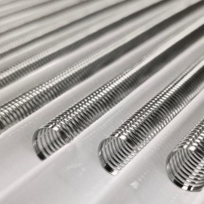 Customized Size Ett Stainless Steel Spring