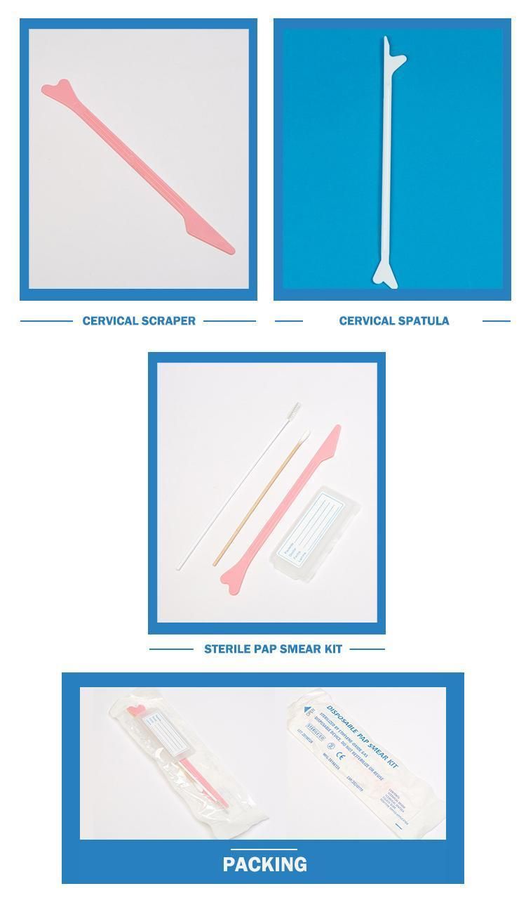 Safe and Hygienic Disposable Medical Sample Cervical Brush for Gynaecology Use
