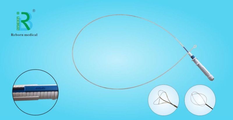 Medical Device Ureteral Access Sheath