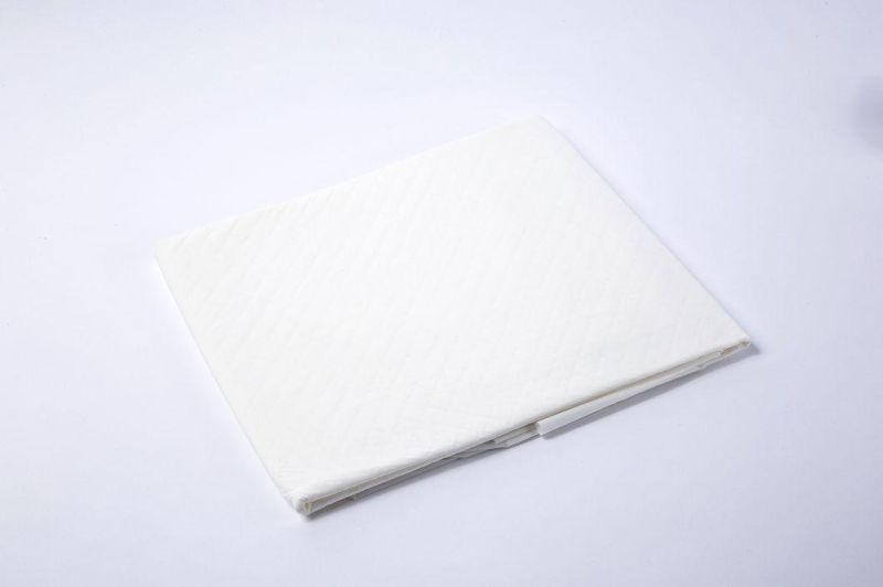2021 Most Popular Factory Price Private Label Laminated Blue Adult Disposable Underpad for Security & Protection
