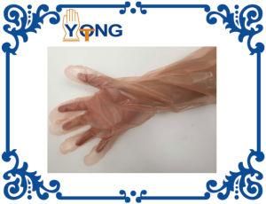 Disposable Veterinarian Glove Long PE Sleeve