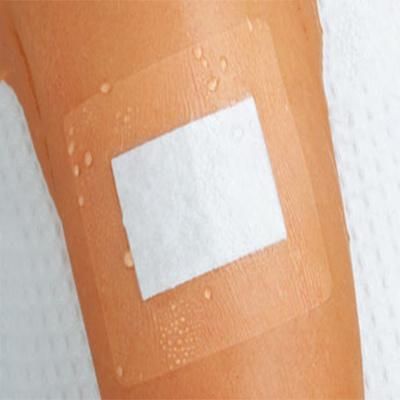 Sterile Transparent Adhesive Wound Dressing PU Wound Dressing Adhesive Wound Dressing