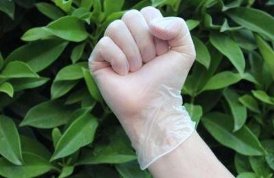 Powder-Free Surgical Vinyl Gloves