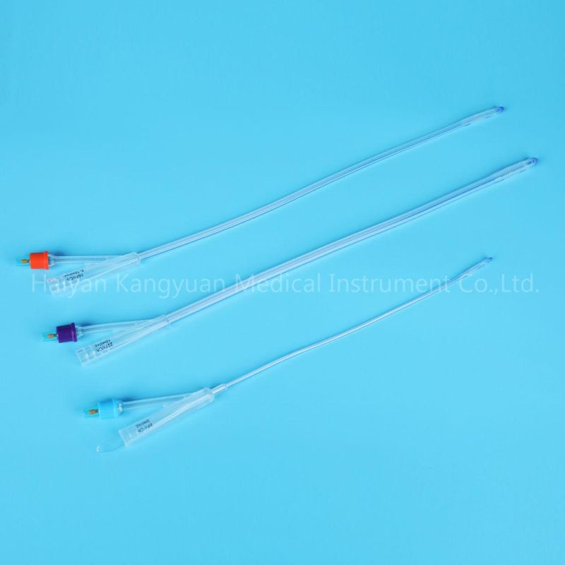 Two Way Silicone Foley Catheter Standard for Single Use China Factory Round Tip with Normal Balloon