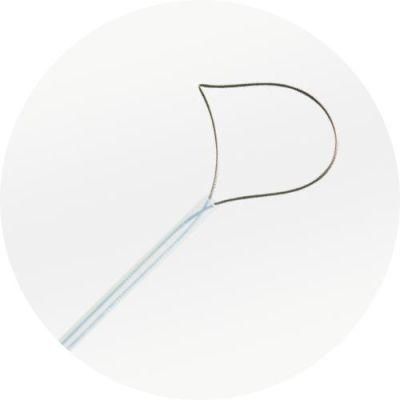 Gastrointestinal Disposable Cold Polypectomy Snare for Single Use
