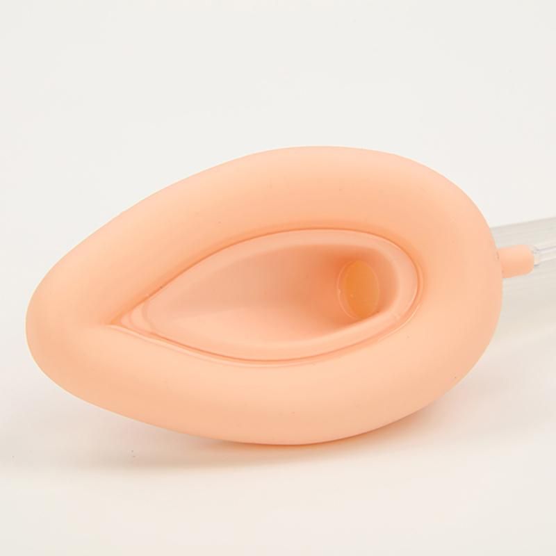 Repeat Use Silicone Laryngeal Mask Airway China Factory with ISO13485