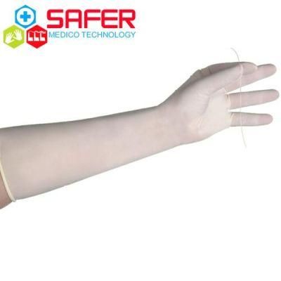Disposable Latex Gynaecological Glove with Powder Free 470mm