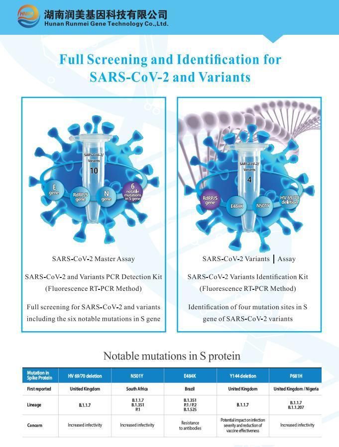 Rapid Neutralizing Antibody Medical Test Kit for Novel 2019 Infectious Disease