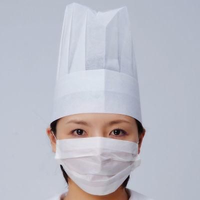 2 Ply Paper Mask with Ear Loop (HYKY-01112)