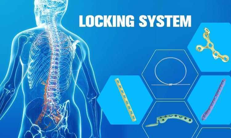 Price Discuss in Stock Coronary Process Locking Plate Orthopedic Plates