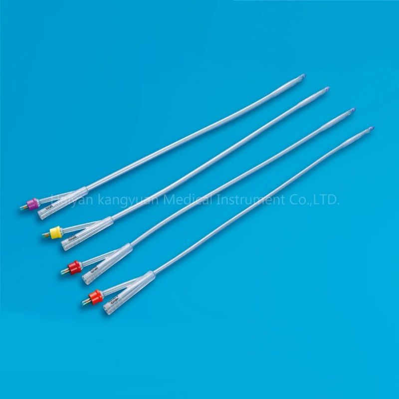 2 Way Standard Silicone Foley Catheter for Single Use China Factory Round Tip with Normal Balloon