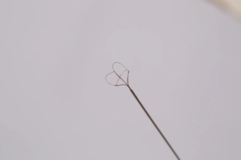 Urine Drainage Catheter Ureteral Access Sheath