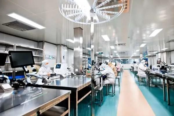 China Supplier Ptca Balloon Catheter CE Certified Companies Manufacturers