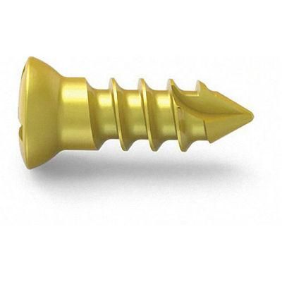 Competitive Price Orthopedic Surgical Implants Posterior Cervical Screw (Self-tapping) Medical Implant Spine Implant