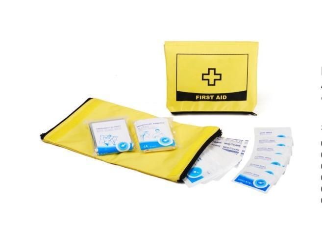OEM Popular Festival Center for Health Promotion Promotional Products for Health of First Aid Kit Keepsake