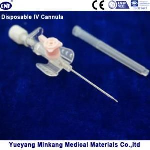 Blister Packed Medical Disposable IV Cannula/IV Catheter Wing Type 20g