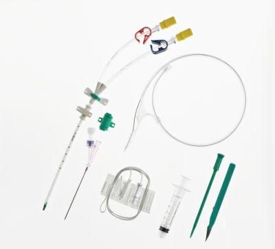 Indwelling Hemodialysis Catheter and Hemodialysis Catheter Kit