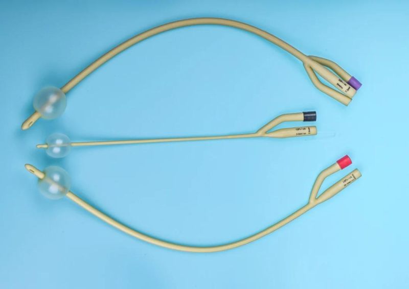 Urethrostomy Urethral Catheter Use in The Drainage and/or Collection and/or Measurement of Urine