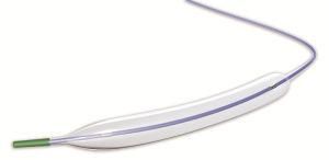 OEM Coronary Stent System Ptca Balloon Catheter