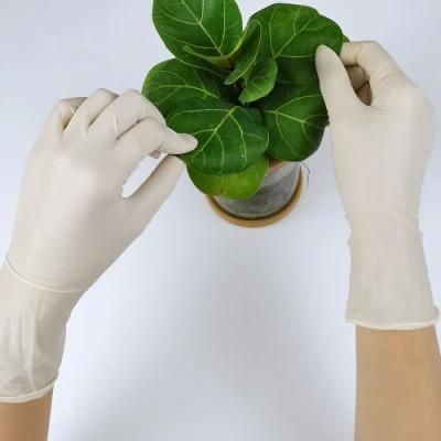 a Pair of Disposable White Latex Glove for Party