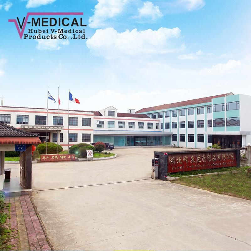 PBT Elastic Bandage Width 20cm Wound Treatment Eo Steile Made in China