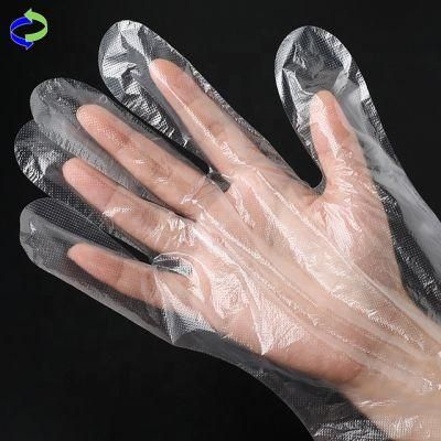 Custom Biodegradable PE Food Disposable Hand Plastic Gloves