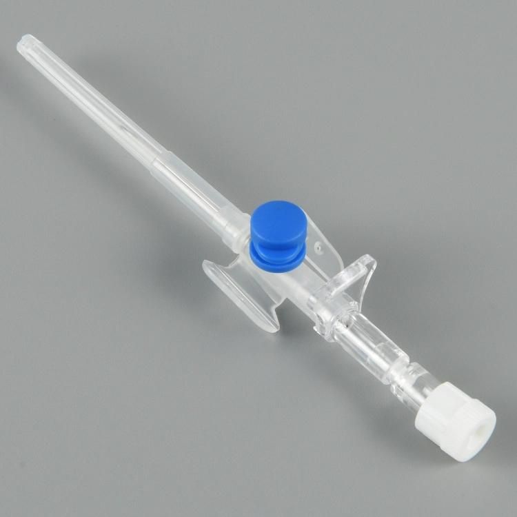 14G 16g 18g 20g 22g 24G Disposable I. V. Cannula Catheter with Valve