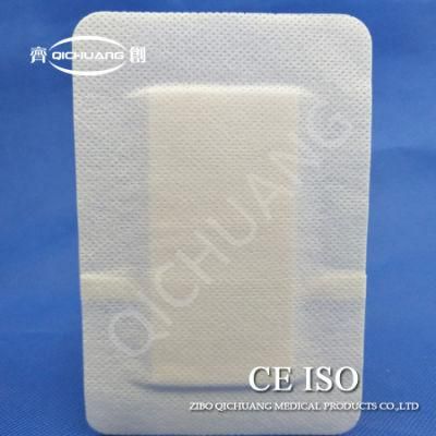 Disposable Sterilized Aseptic Adhesive Medical Surgical Gauze Dressings
