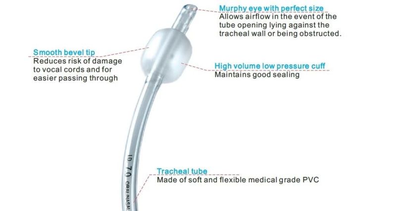 Individually Packed Flexible Disposable Oral/Nasal Endotracheal Tube Uncuffed