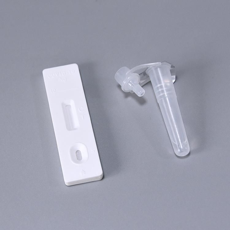 Home Self Test Kit Medical Rapid Test Device 19 Antigen Swab Test